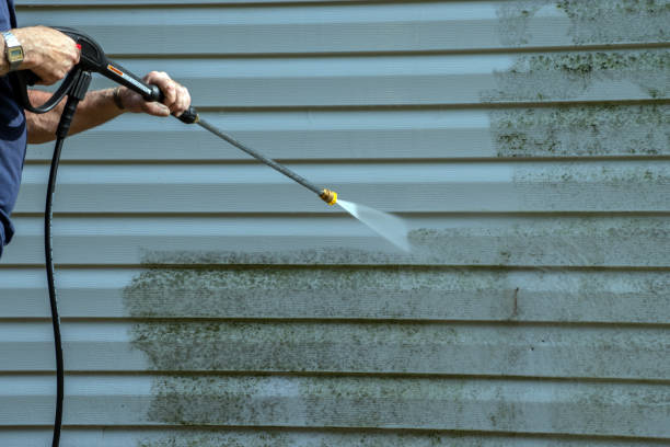Best Fence Cleaning and Maintenance in Anthem, AZ