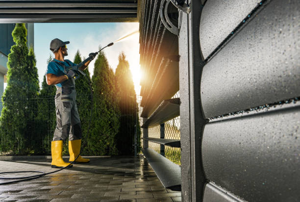 Best Graffiti Removal Services in Anthem, AZ